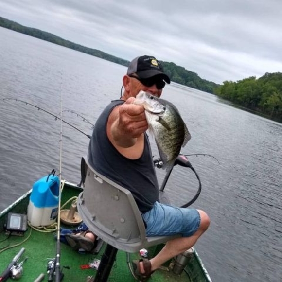 Meet your Posher, Paul - Picture 1 of 1